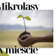 Mikrolasy